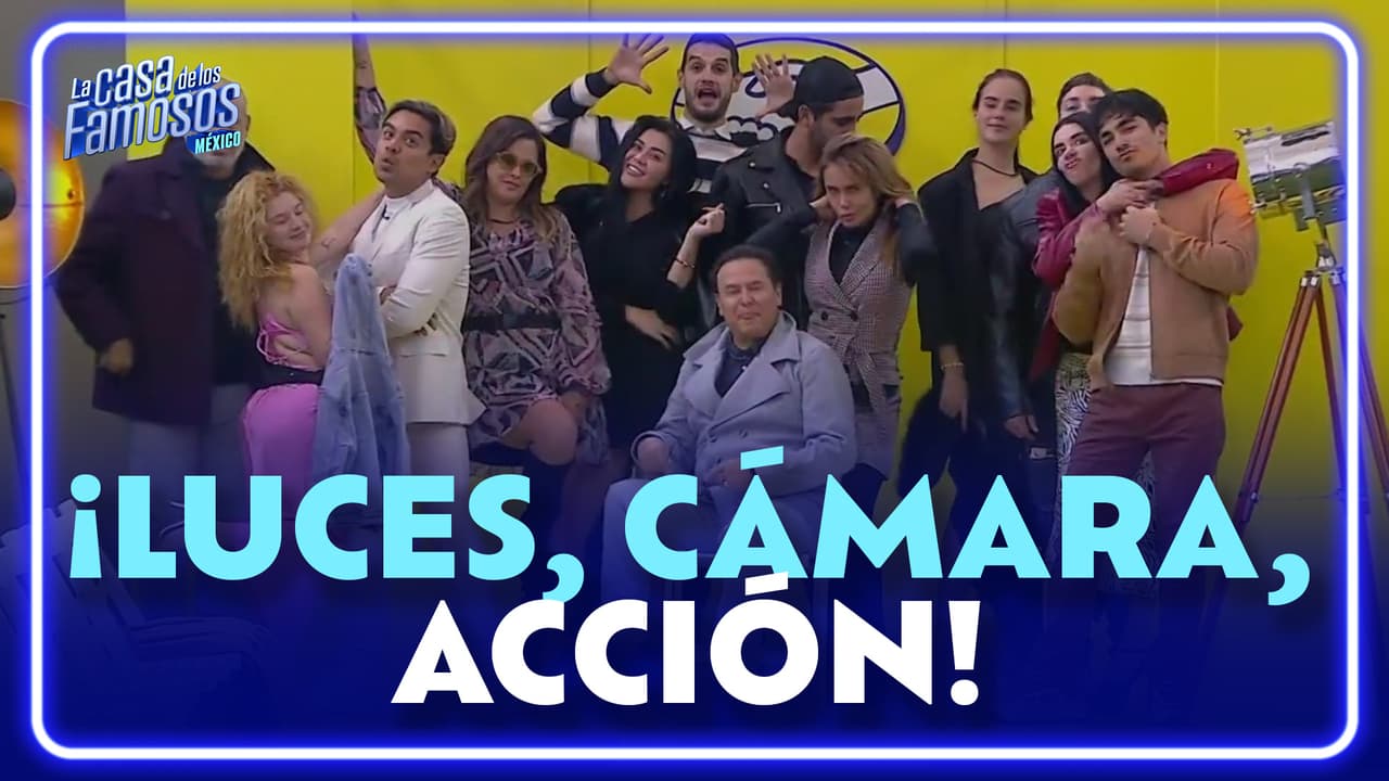 ¡Los habitantes POSAN, MODELAN y BROMEAN en ELEGANTE pasarela!