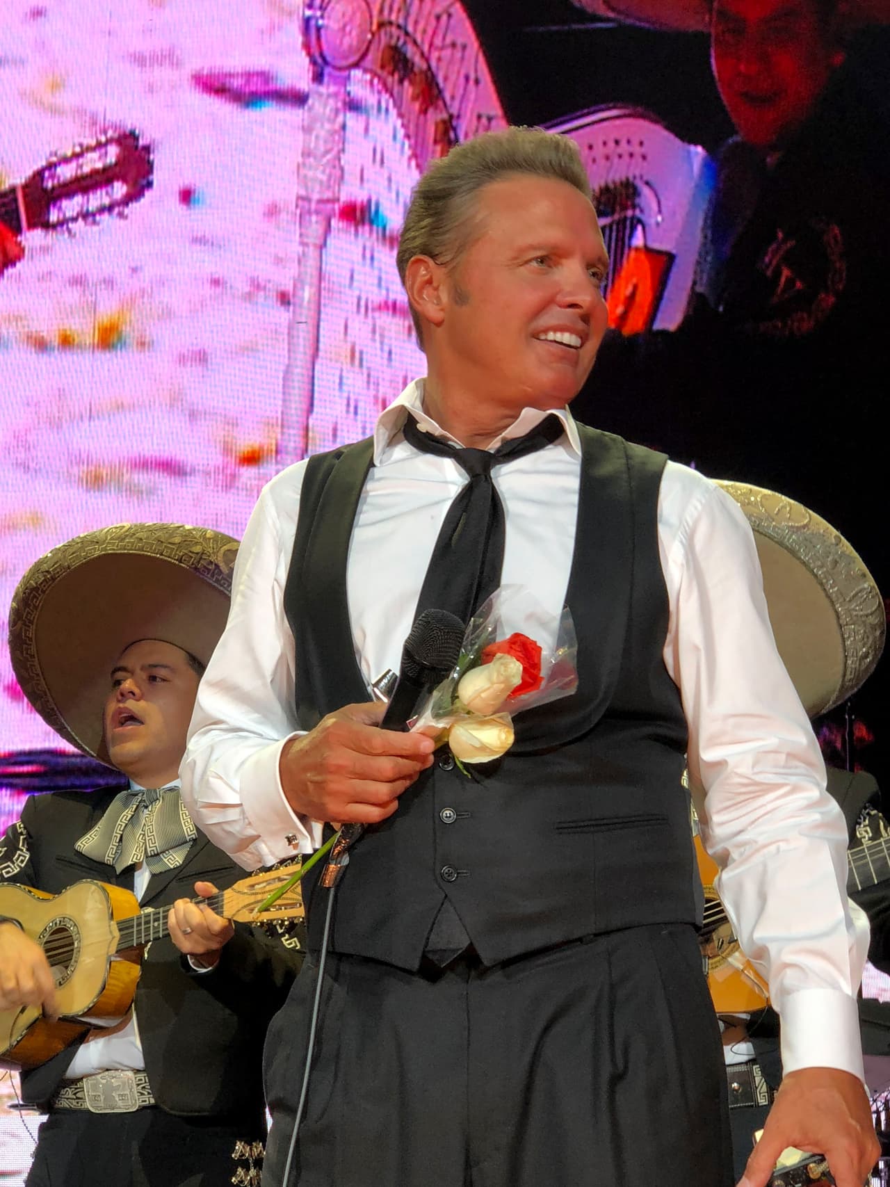 Fan de Luis Miguel se cae de una barda en pleno concierto