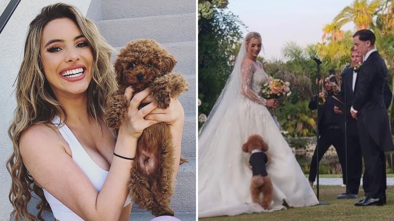 Toby, el perrito de Lele Pons, estuvo en su boda con Guaynaa.