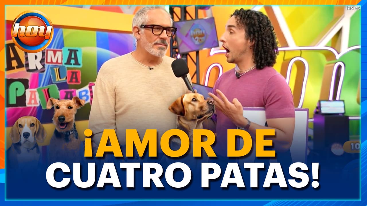 Arath, Andrea y conductores de HOY comparten cómo CUIDAN, consienten y aman a sus PERROS