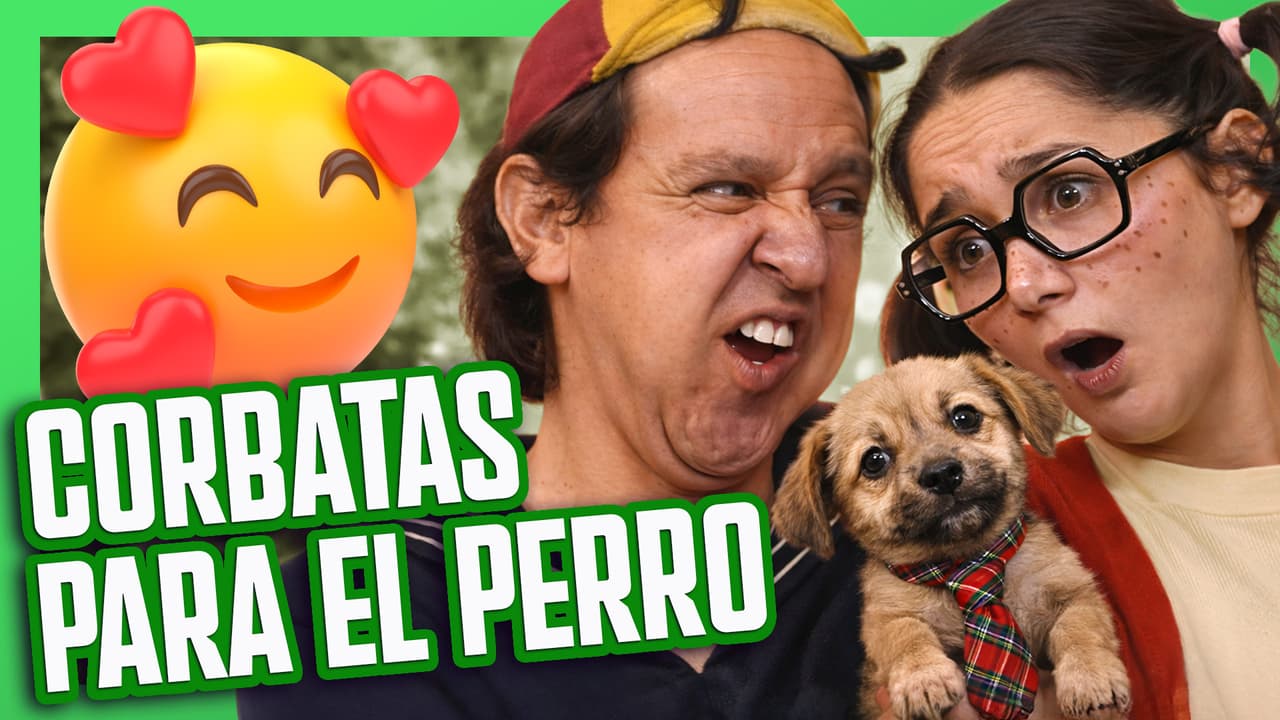 Quico recibe un perro de regalo