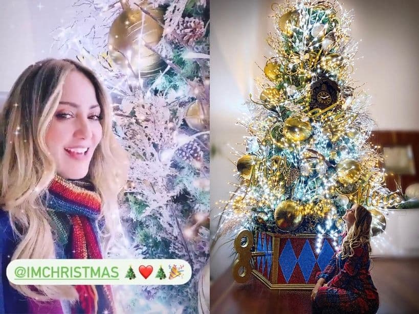 Andrea Legarreta se sumó a la fiebre decembrina y presumió en Instagram el resultado final de la decoración de su árbol de Navidad, el cual está repleto de esferas doradas, piñas con escarcha blanca, un reloj y los nombres de cada integrante de la familia.