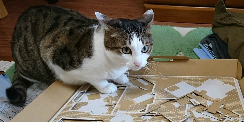 Gato Nintendo Labo