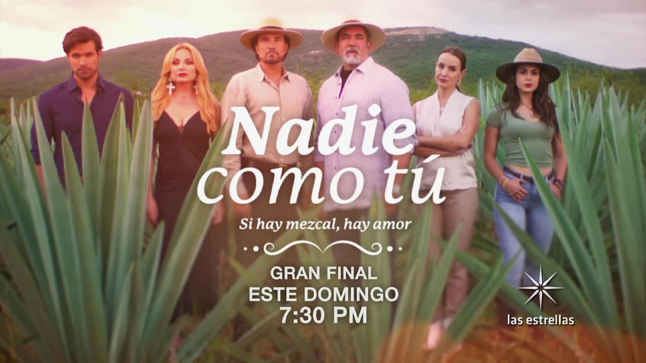 Nadie como tú: ¡Este domingo GRAN FINAL con Las Estrellas!
