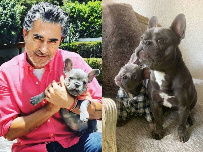 Raúl Araiza perdió a su querida Manola, una perrita de raza pomerania, en 2020, y aunque desde entonces no tiene mascota, de vez en cuando se hace cargo de Juan y Luciano, dos perritos bulldog francés de quienes sus hijas son dueñas.