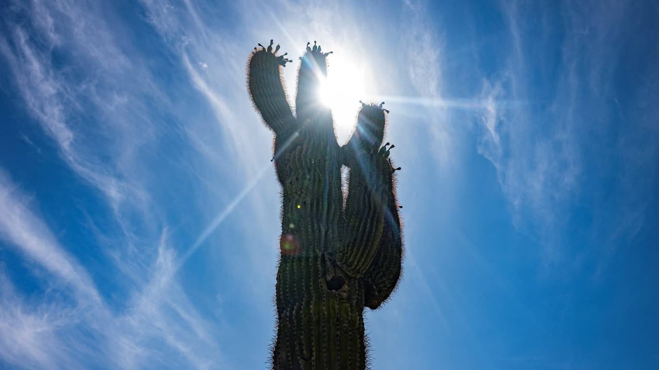 Emiten aviso de calor extremo para buena parte de Arizona este fin de semana: Encuentra centros de enfriamiento
