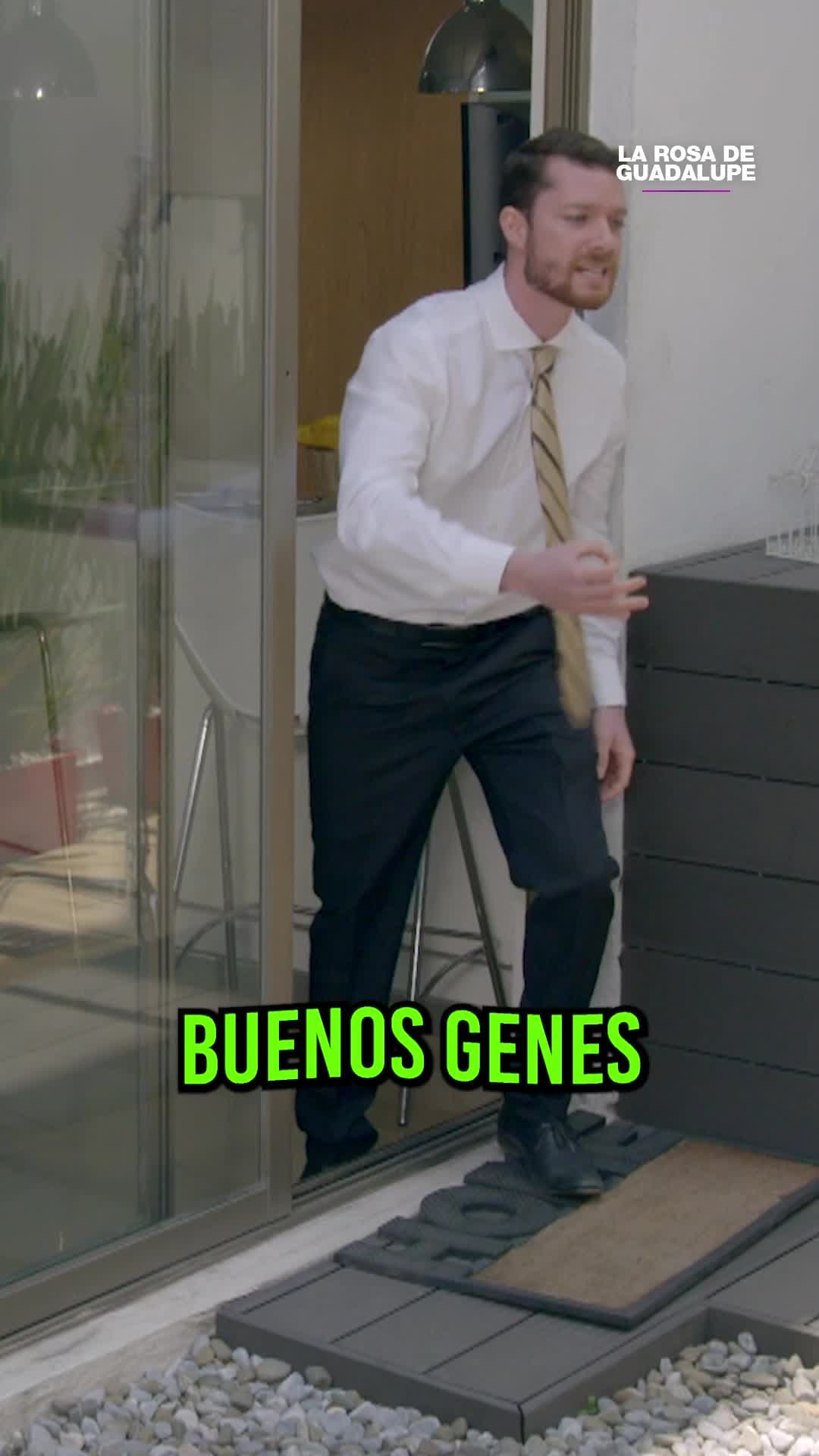 La obediencia está en los buenos genes de una buena raza