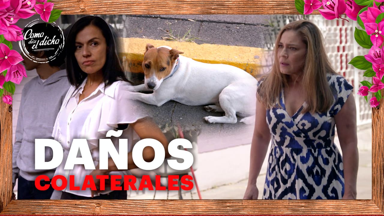 El perrito de Lisa es envenenado y su mamá culpa a la madre de Rafa