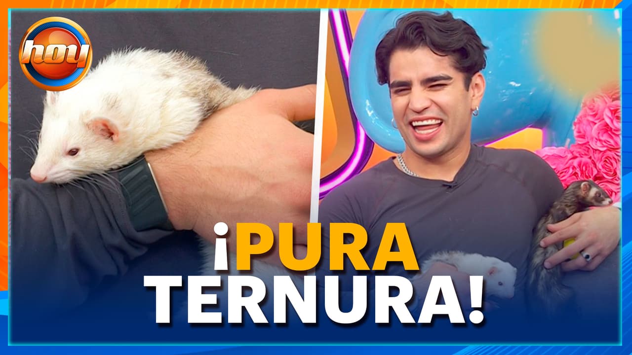 Aarón Mercury muestra su lado más tierno EN VIVO jugando con hurones