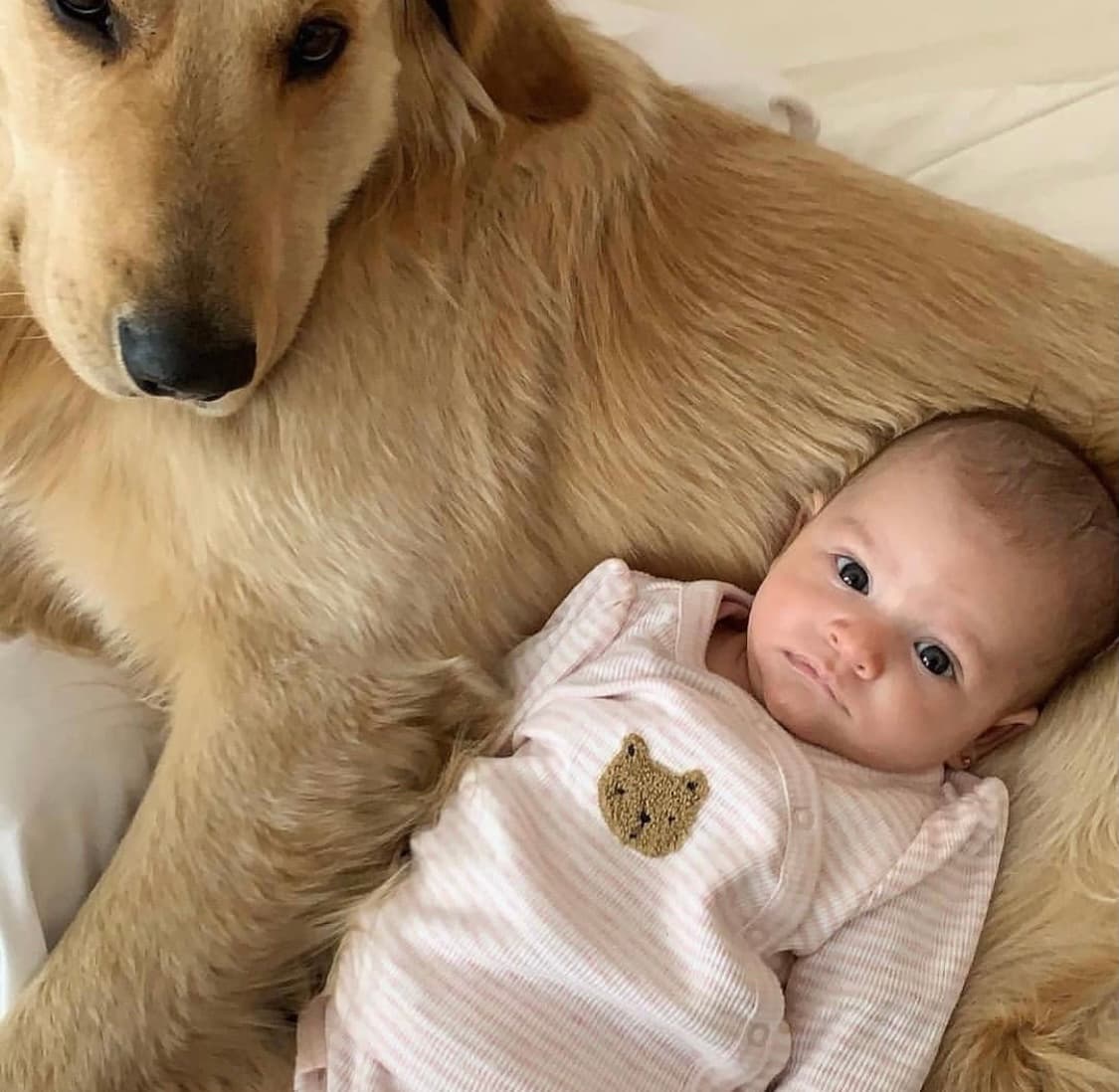 En esta otra imagen, Victoria aparece recostada en 'Rocco', un perro de raza Golden Retriever, con el que la pequeña ya había posado a días de nacida. En aquella ocasión, Méndez contó que el perrito es su guardián.