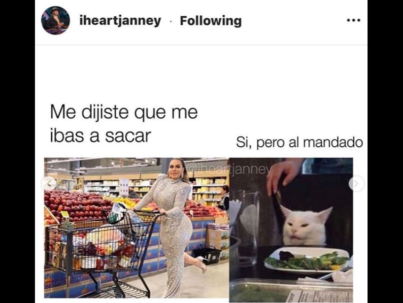 El famoso gato Smudge Lord tampoco se salvó de esta situación, por ello aparece en el meme junto a la cantante.
