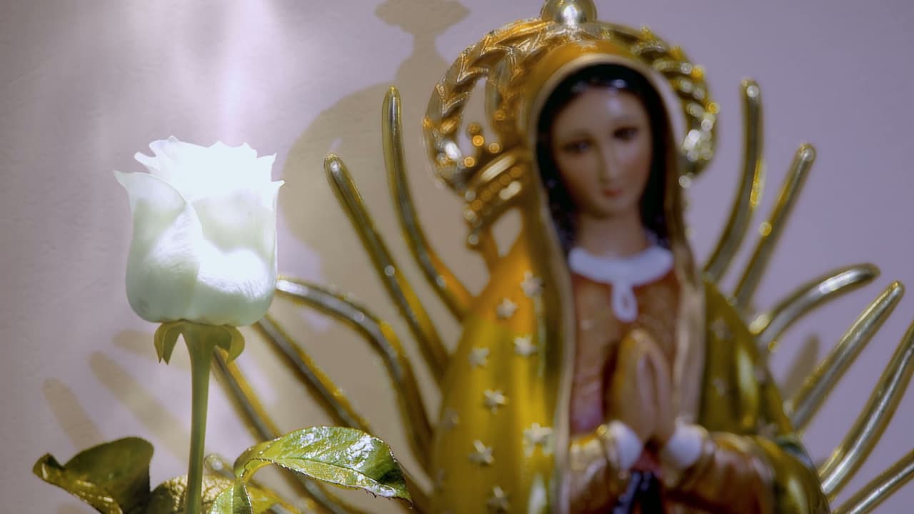 ¡Lo que no sabías de La Rosa de Guadalupe, previo al capítulo 1000!