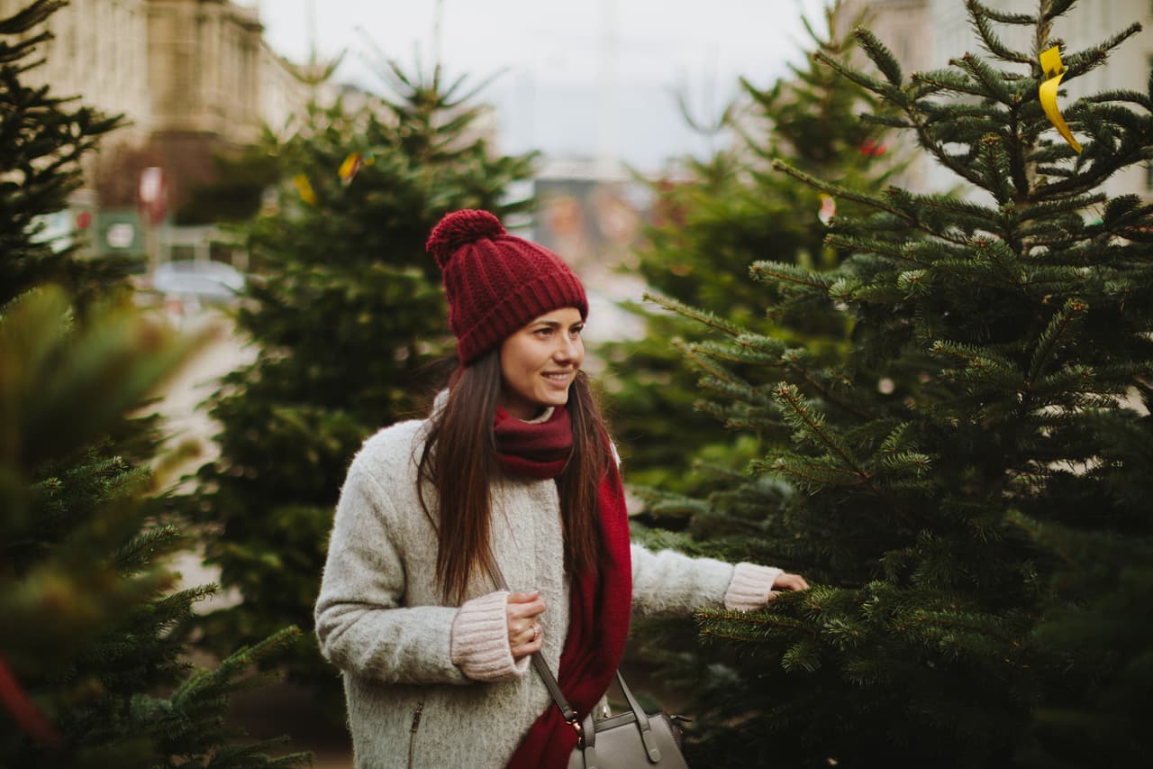 Elige el mejor árbol de Navidad