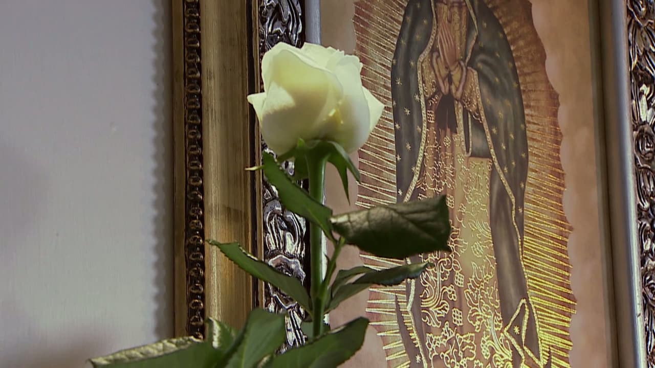 Maratón: La rosa de Guadalupe 24 abril 2016