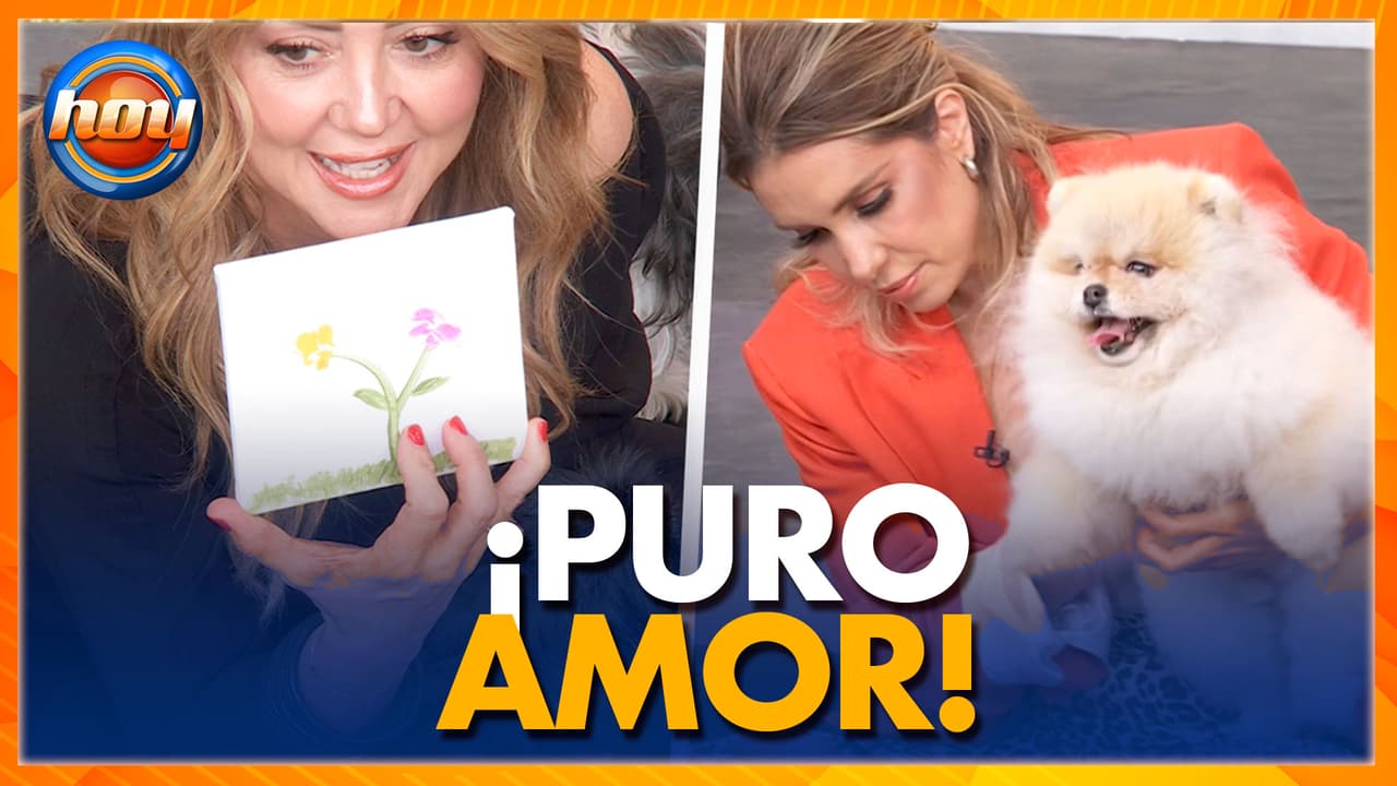 Celebramos el Día Mundial del Perro con una fiesta perruna