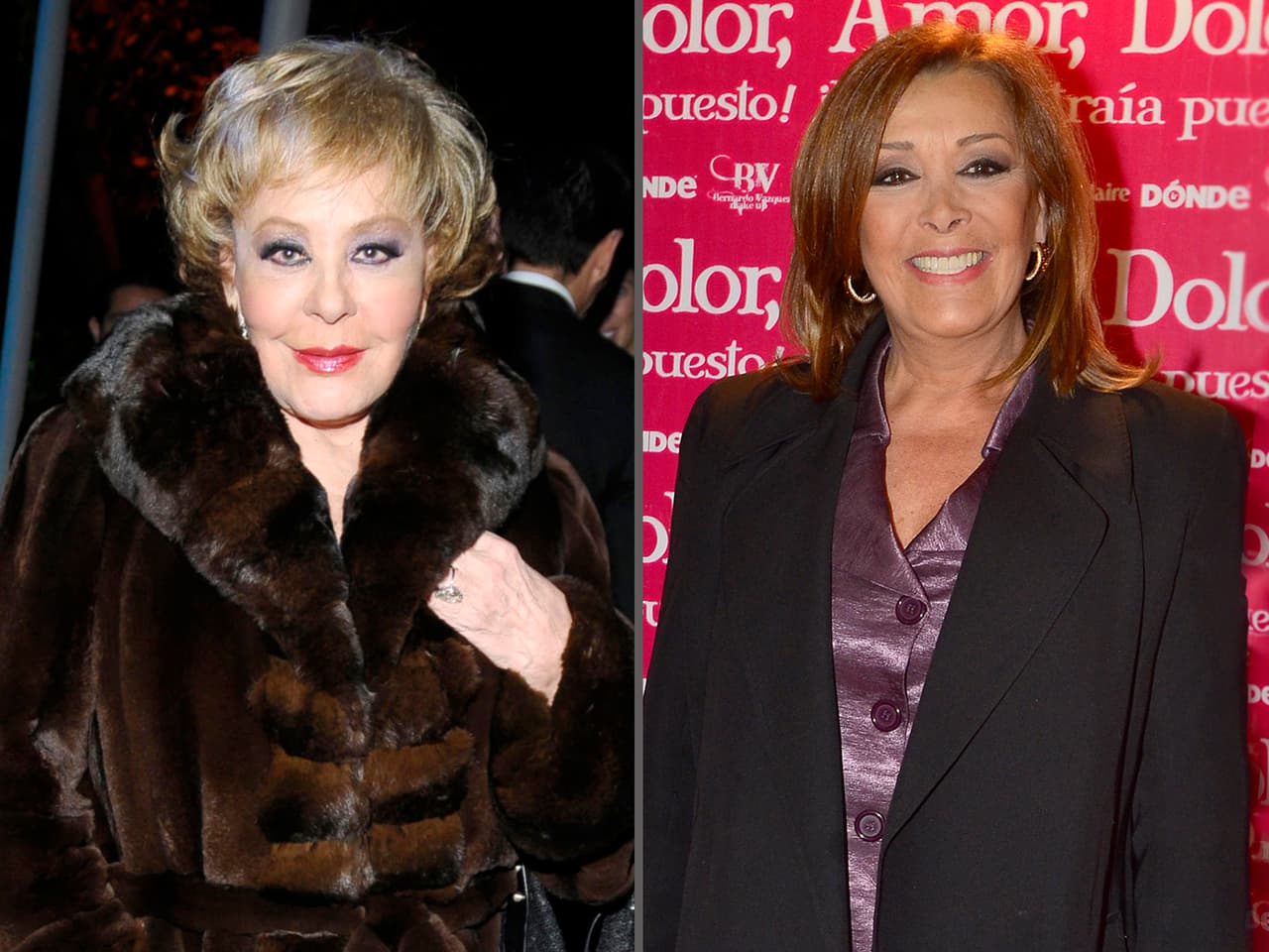 En 1981, madre (Silvia Pinal) e hija (Sylvia Pasquel) se distanciaron por un hombre: Fernando Frade, quien fue expareja de Pinal y esposo de Pasquel hasta 1987.