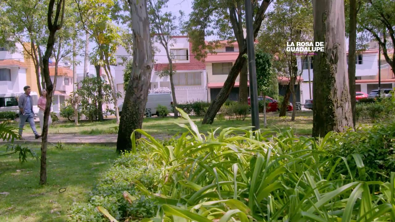 Antonia se casa con un hombre obsesionado con ella