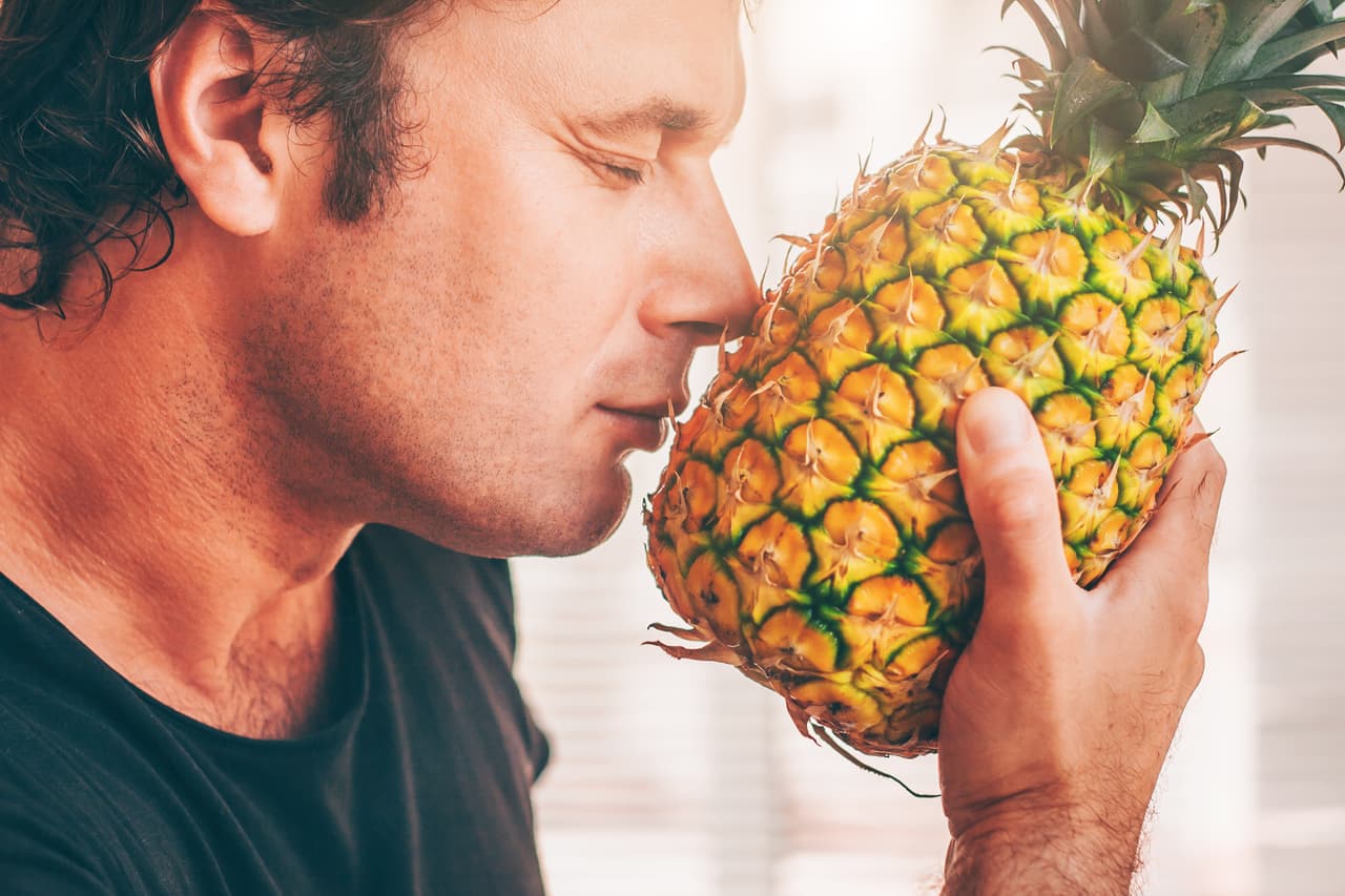 The farmer sniffs fresh ripe pineapple, a rich harvest