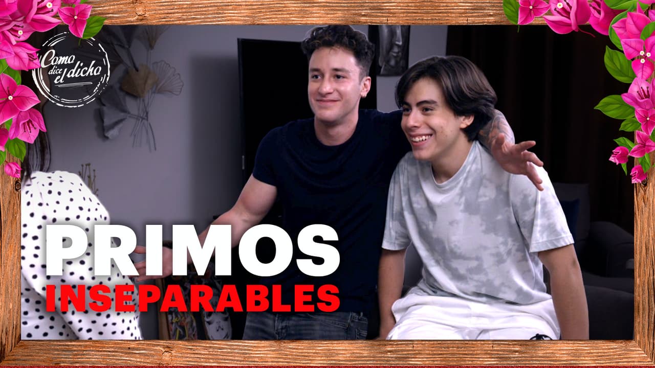 Jerry y Lorenzo son dos primos inseparables que se quieren como si fueran hermanos