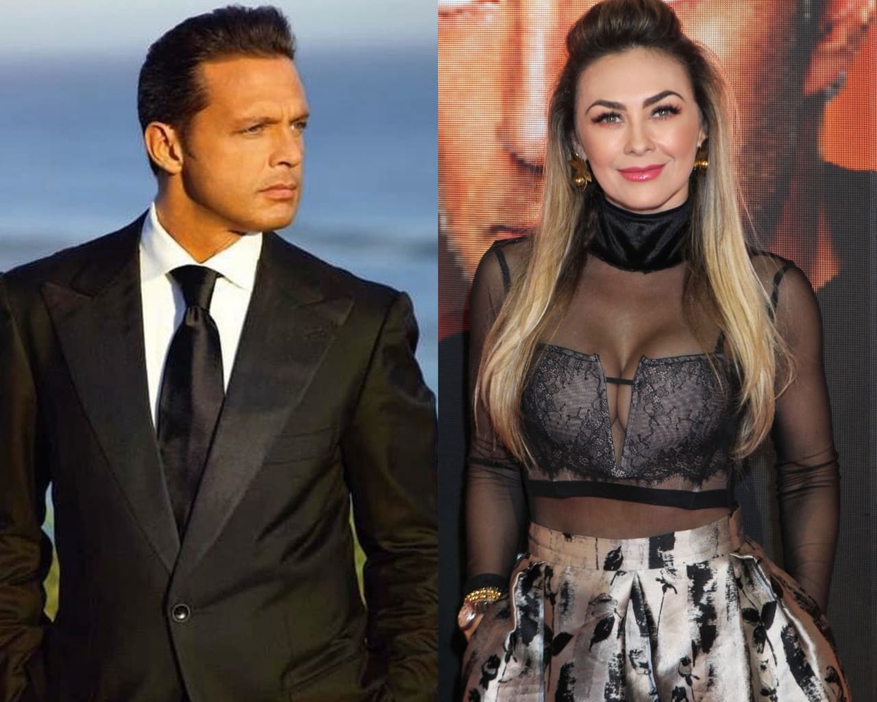 Aracely Arámbula, sin reparo, responde a Luis Miguel sobre su fugaz aparición en bioserie