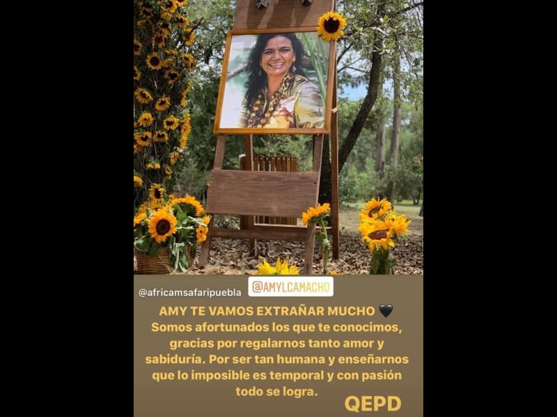 Angelique Boyer dedica emotivo mensaje a una amiga