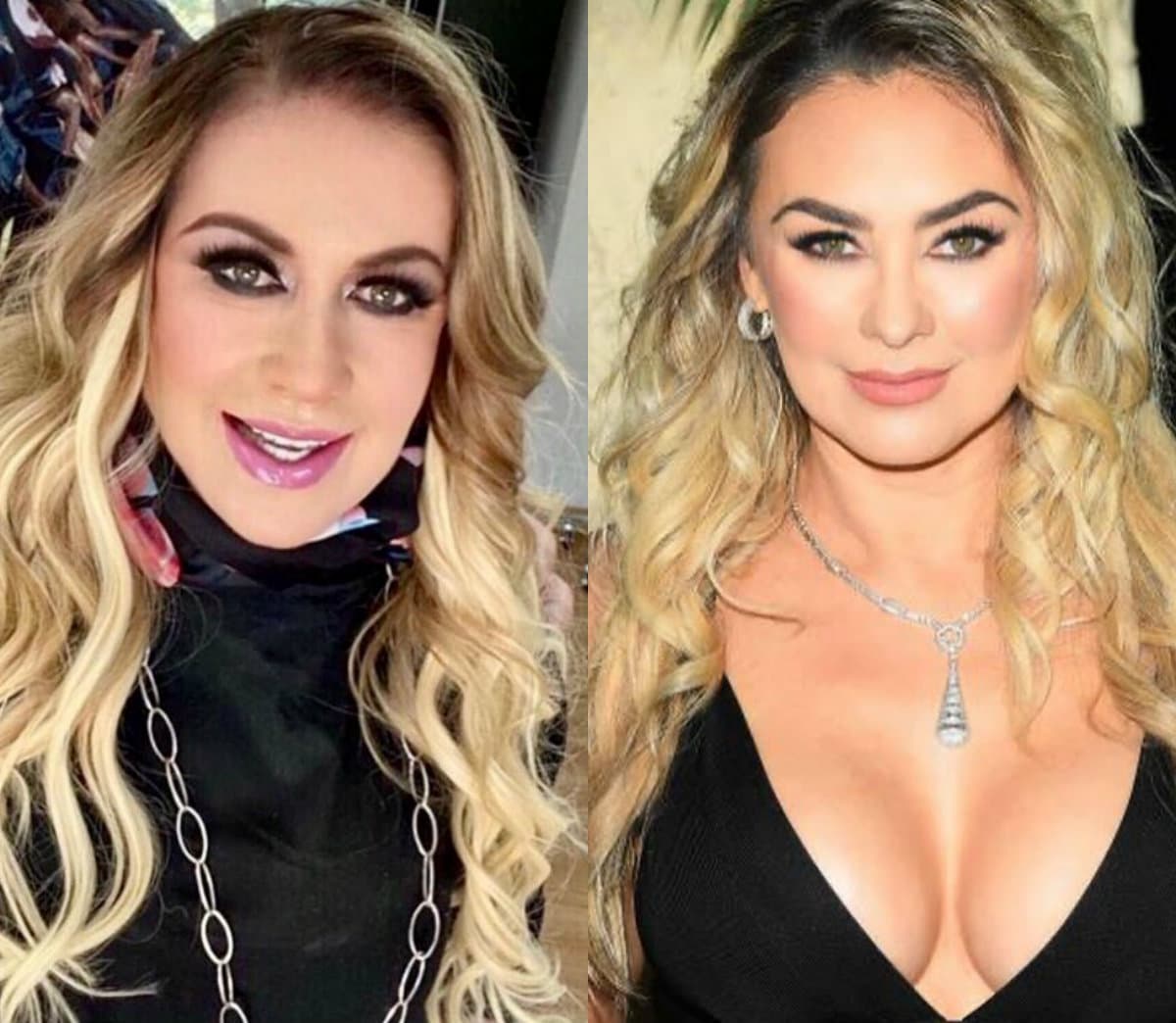 Laura Zapata presume radical cambio de look y sus fans aseguran que se parece a Aracely Arámbula