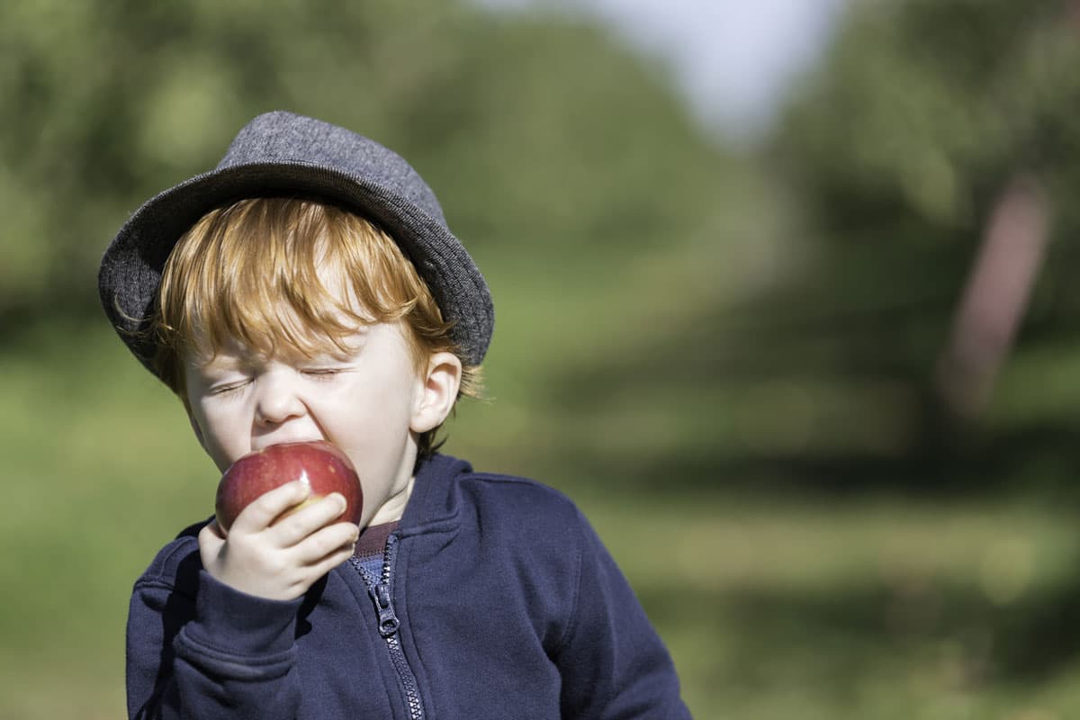 “Las frutas que tienen menor cantidad de azúcar y son ideales para consumir en la cena son fresas, manzanas, peras, naranjas, duraznos y guayabas”, señaló.