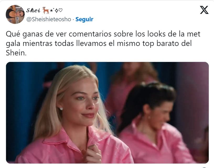 memes Met Gala 2024