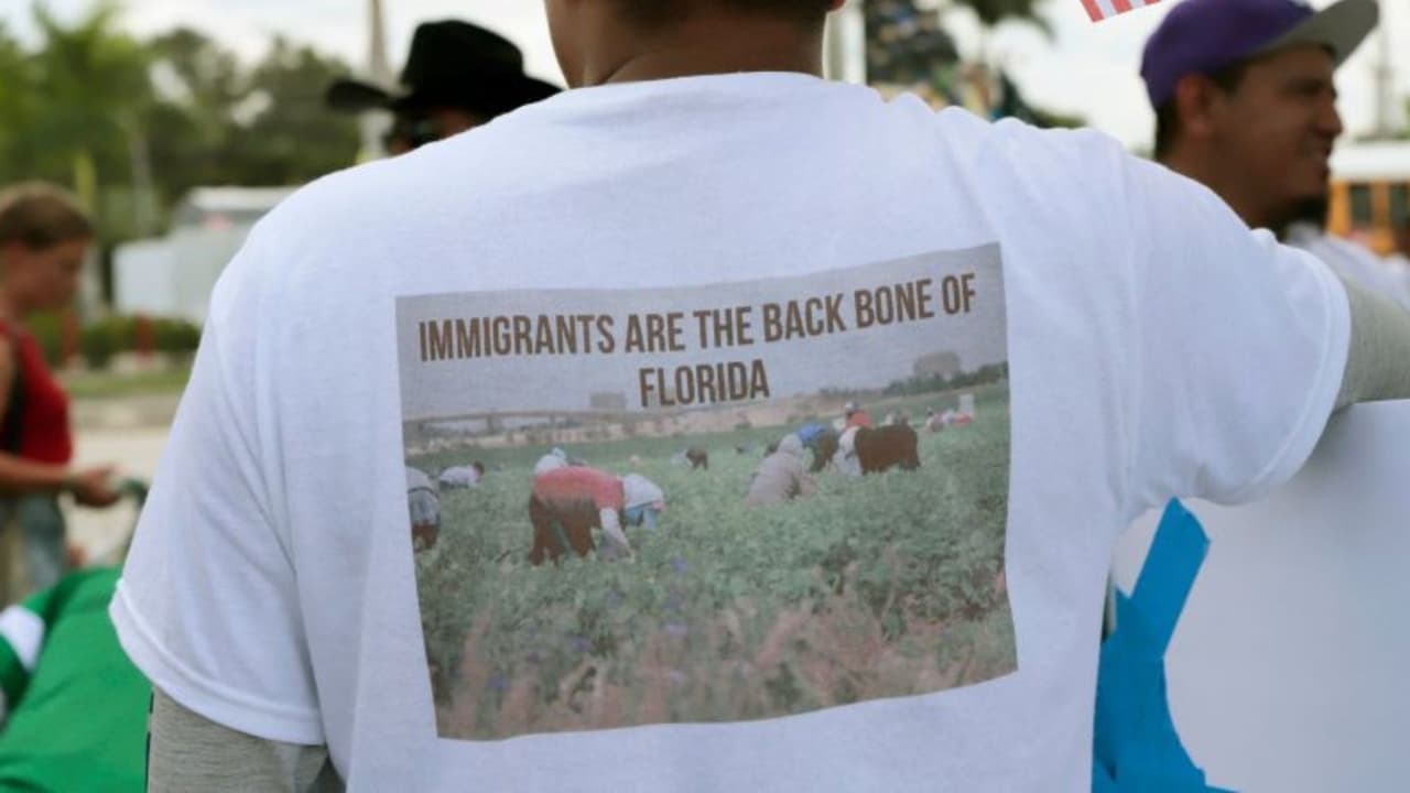 Jueza federal ordena suspender de manera temporal ley antiinmigrantes de Florida