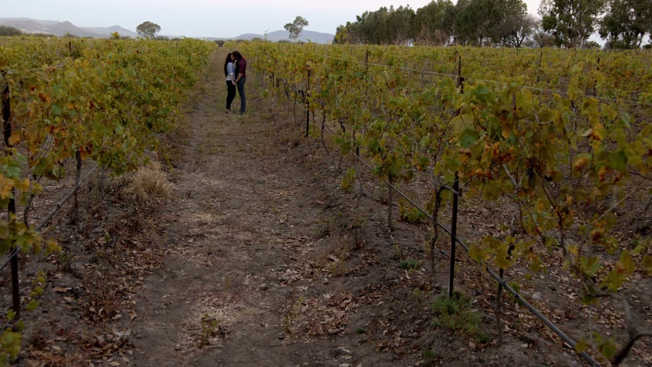 Top 10 del Gran Final de Vino el amor