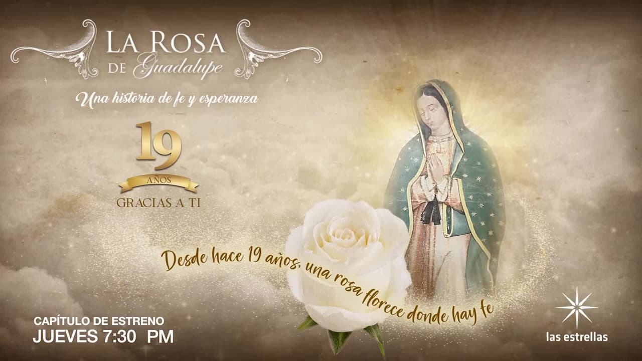 La Rosa de Guadalupe estrena hoy capítulo sobre 'Farmear Aura': Ve un avance
