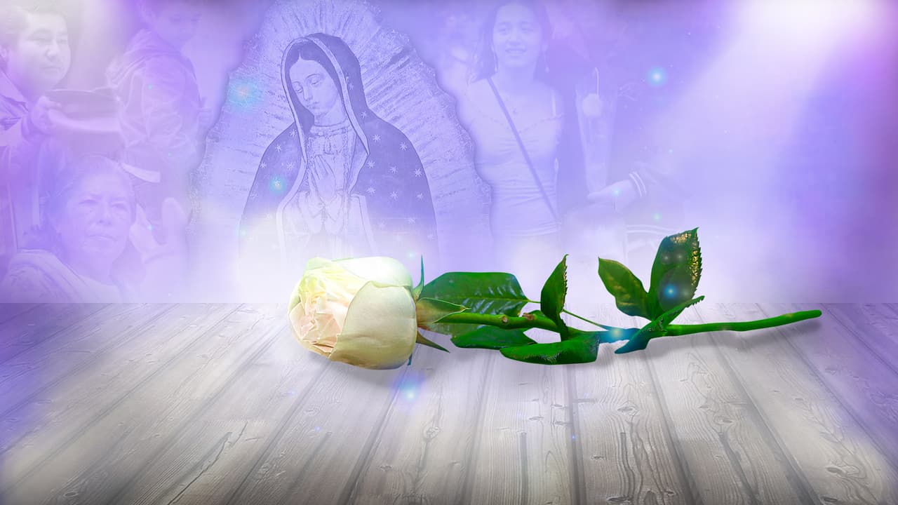 Premios TVyNovelas 2020: 'La Rosa de Guadalupe' está nominada por esta razón