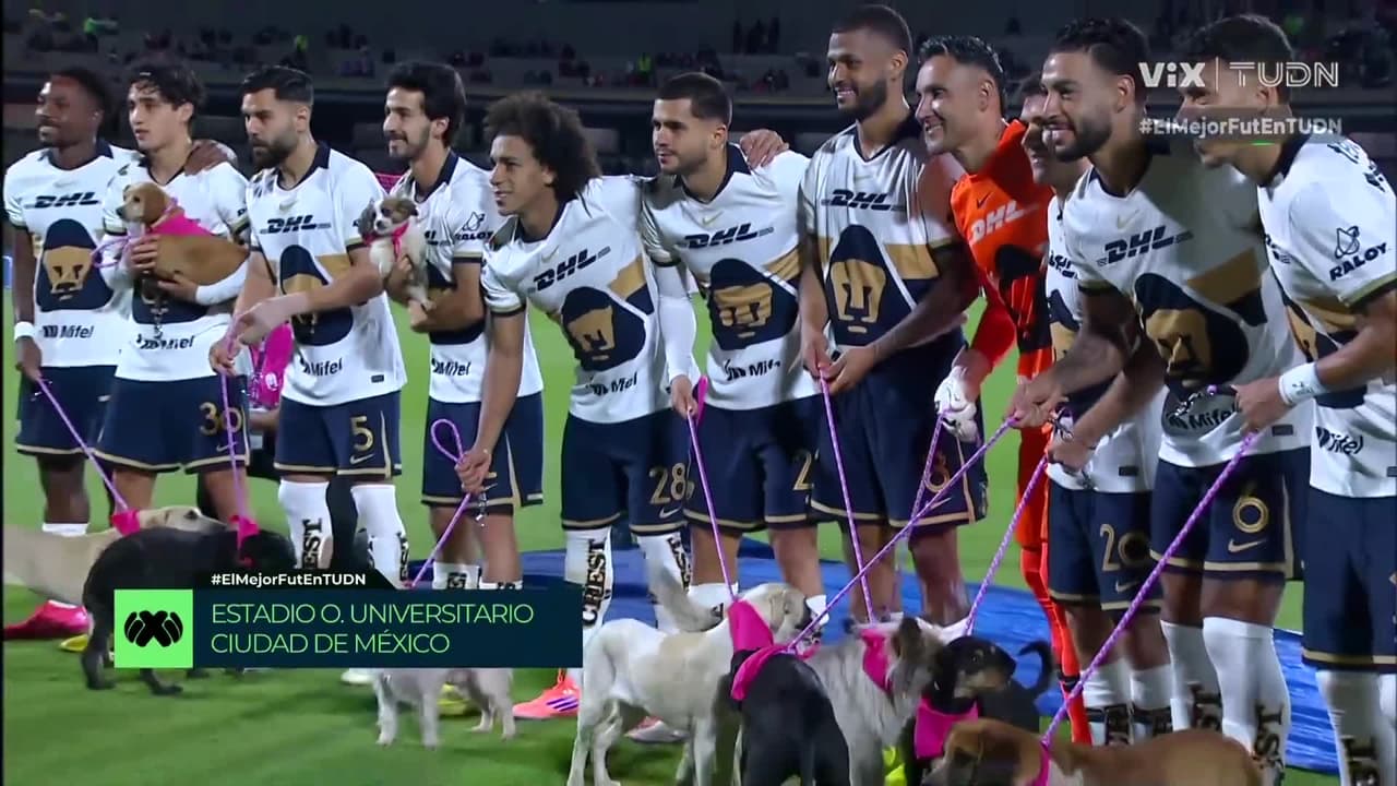 Pumas UNAM vs. Atlético San Luis - Resumen del partido
