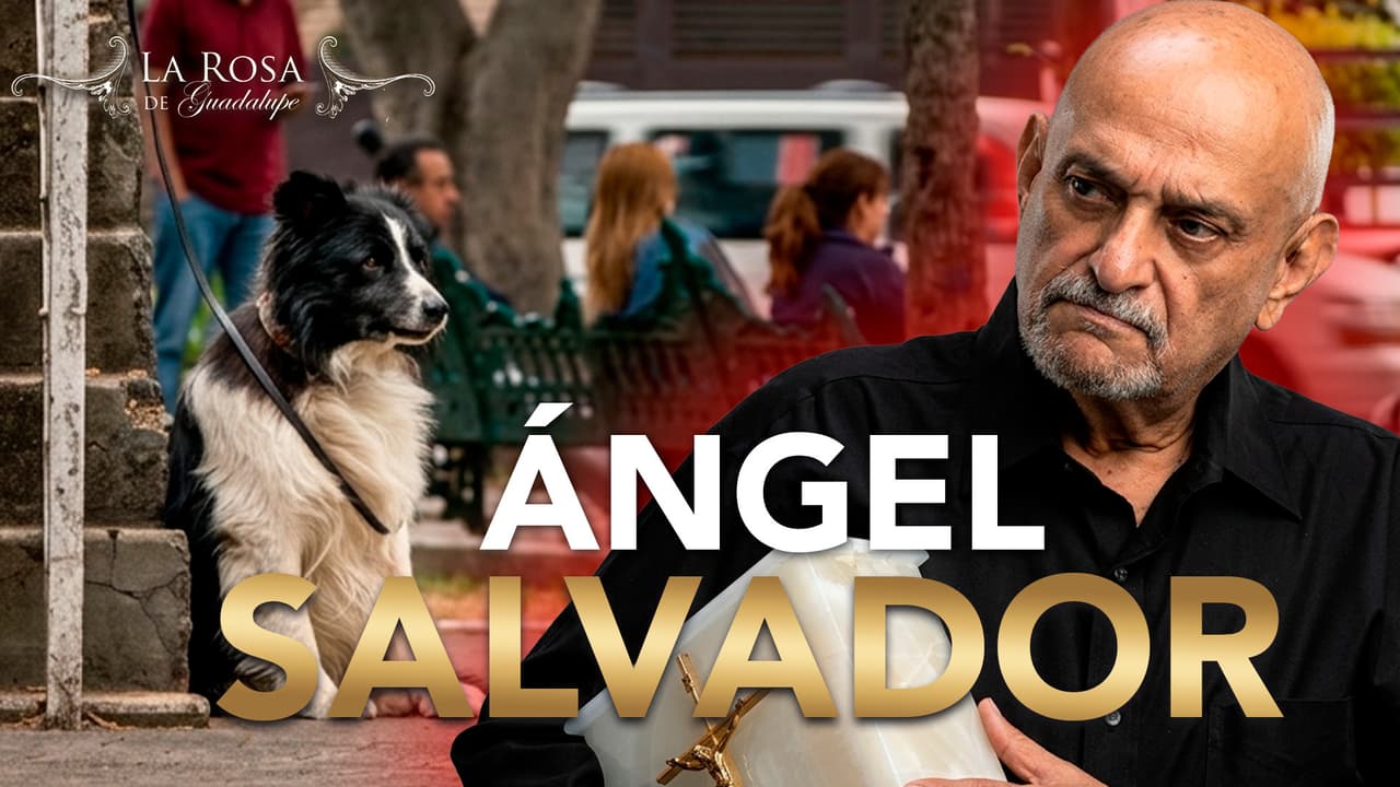 Enrique perdió a su viejita pero apareció un ángel que lo salvó de la soledad