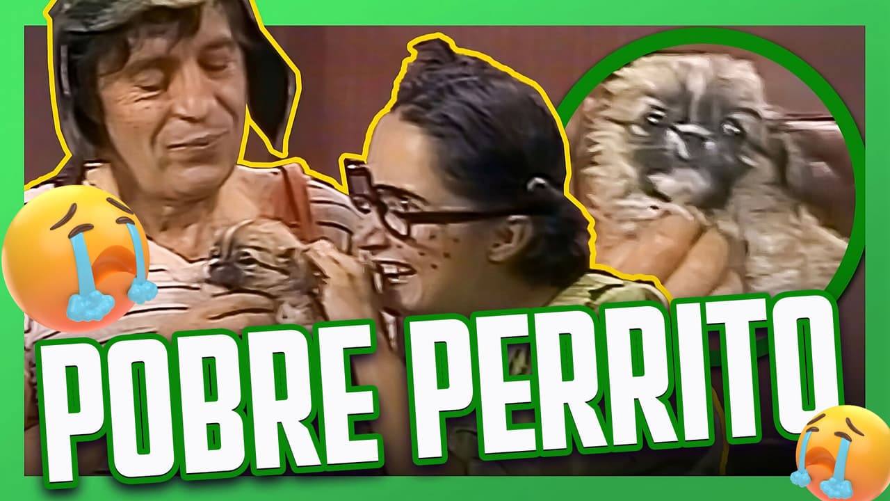 Don Ramón adopta al perrito que encontró el Chavo