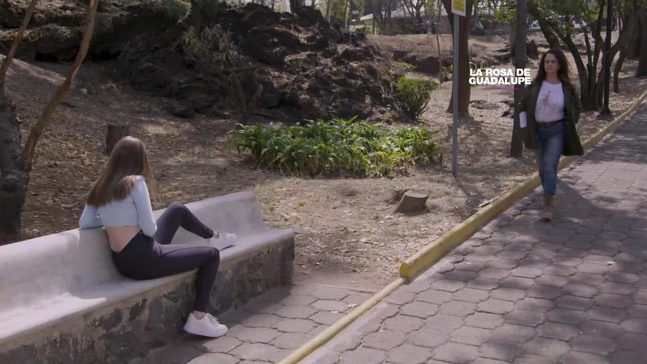 Dalila engaña a jóvenes para raptarlos