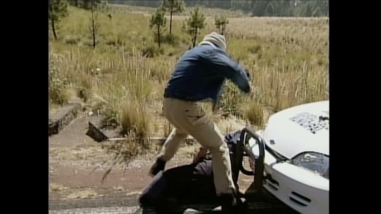 Resumen Capítulo 3: Dios bajo del cielo para revivir a Manuelito