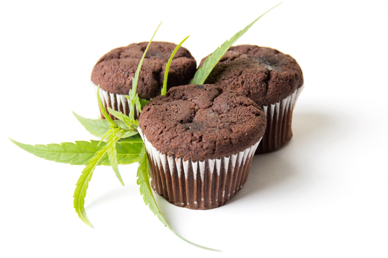 Chocolate muffins with Marijuana leaves on white