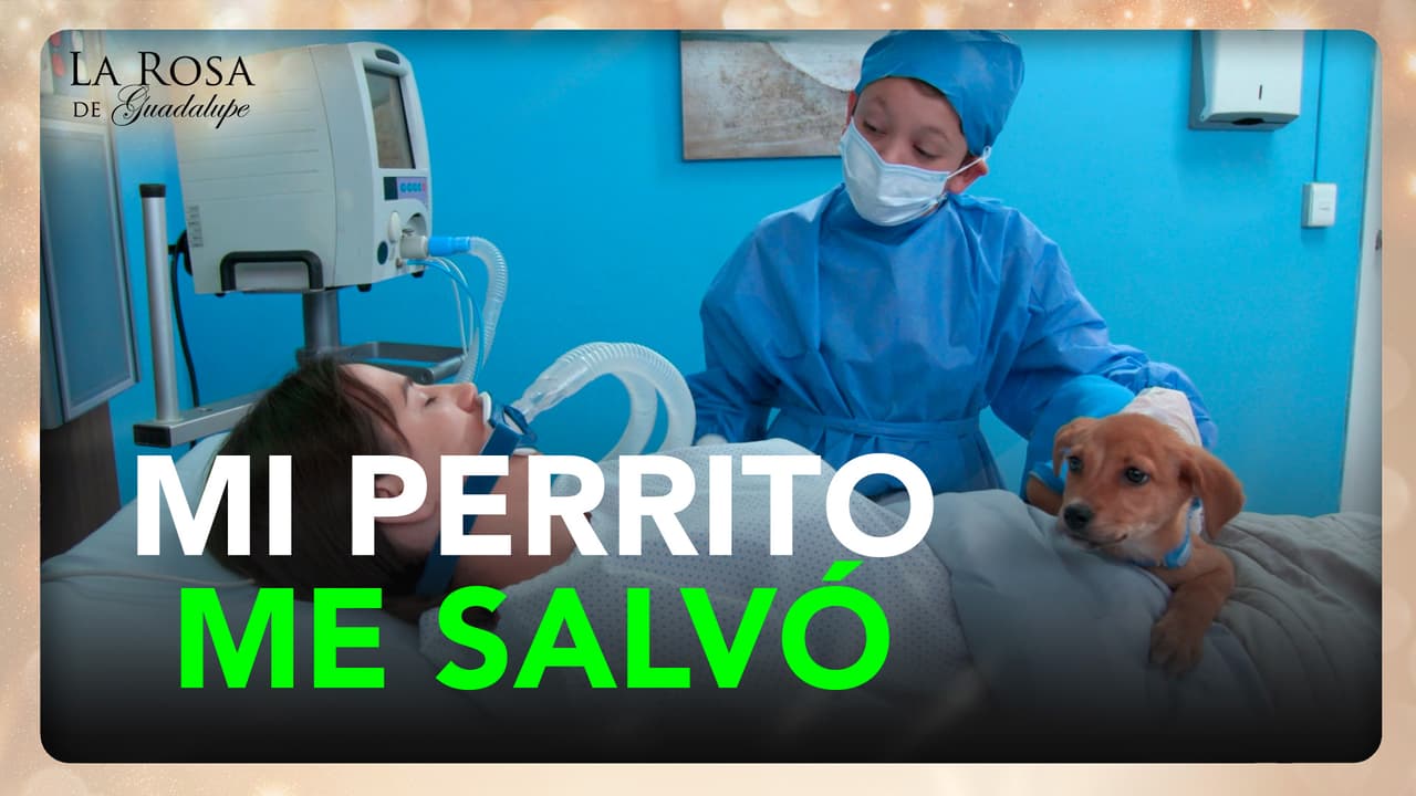 Gael casi se queda sin su mamá y su perrito 'Salvador' lo ayuda a sobrellevar la soledad