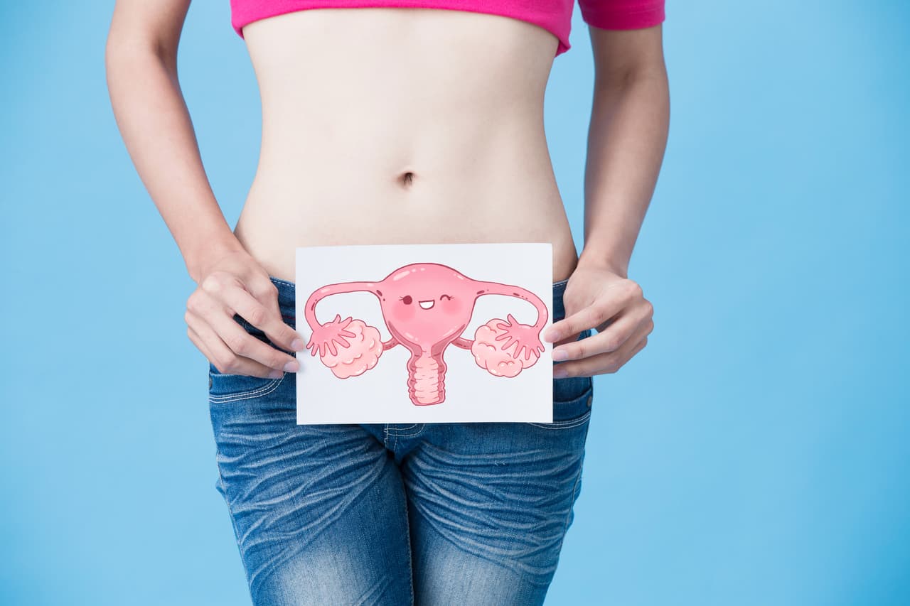 Periodos irregulares o escasez. Los periodos menstruales cortos (menores a 21 días) podrían ser signo de problemas de ovulación. La ausencia de esta indica ‘disfunción ovulatoria’.