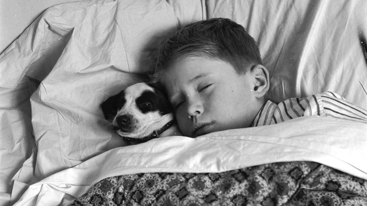 ¿Lo dejas dormir en tu cama?
