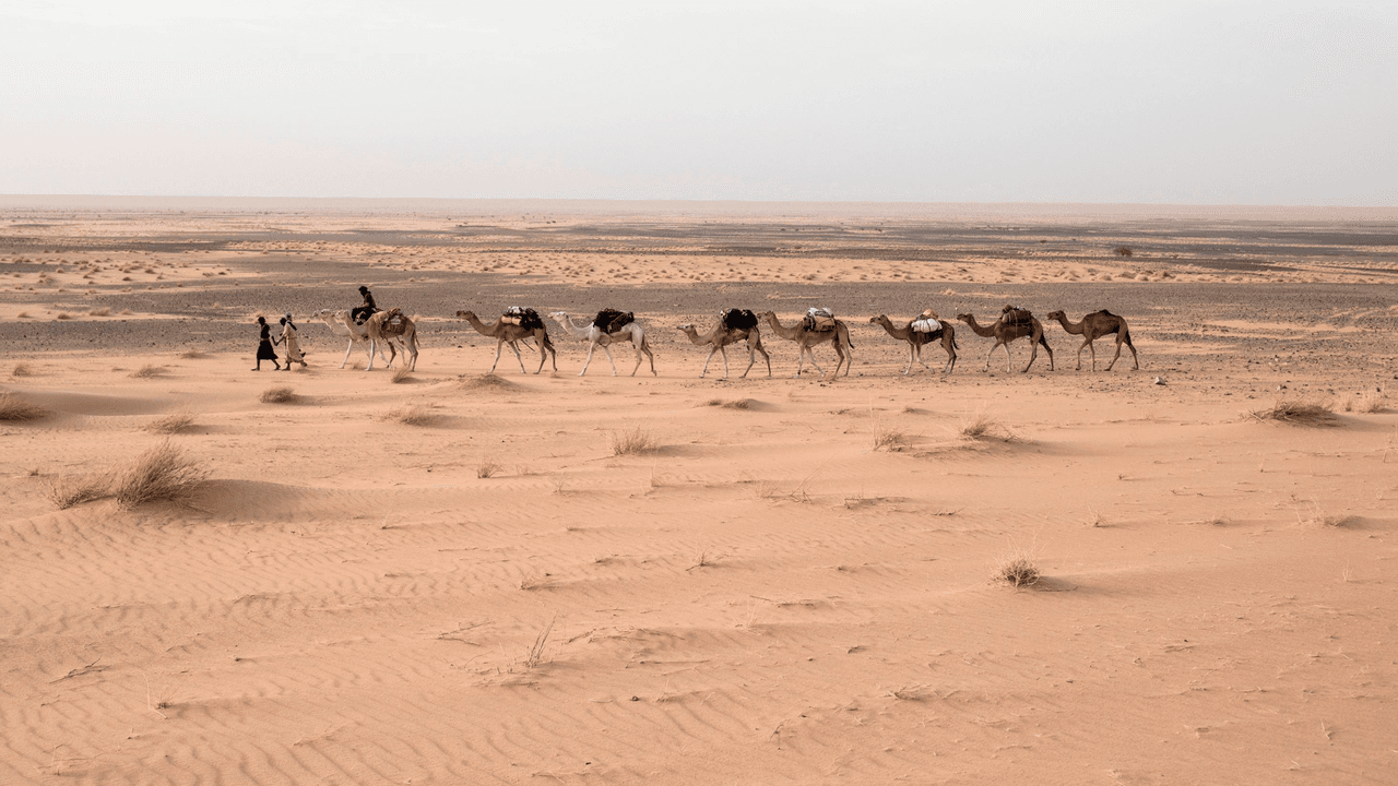 Desierto de Sahara