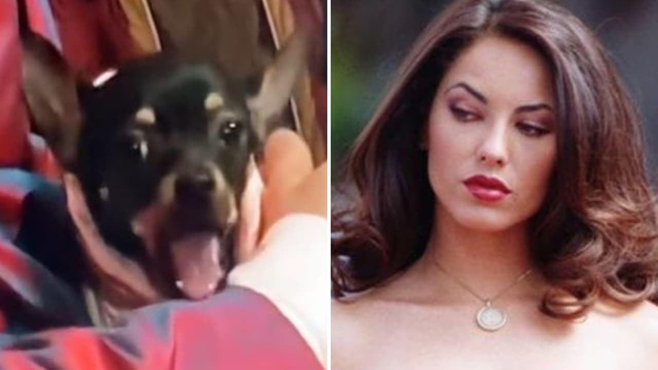 En una escena de Rubí aparece un perrito que vomita y nadie se había dado cuenta (hasta ahora)