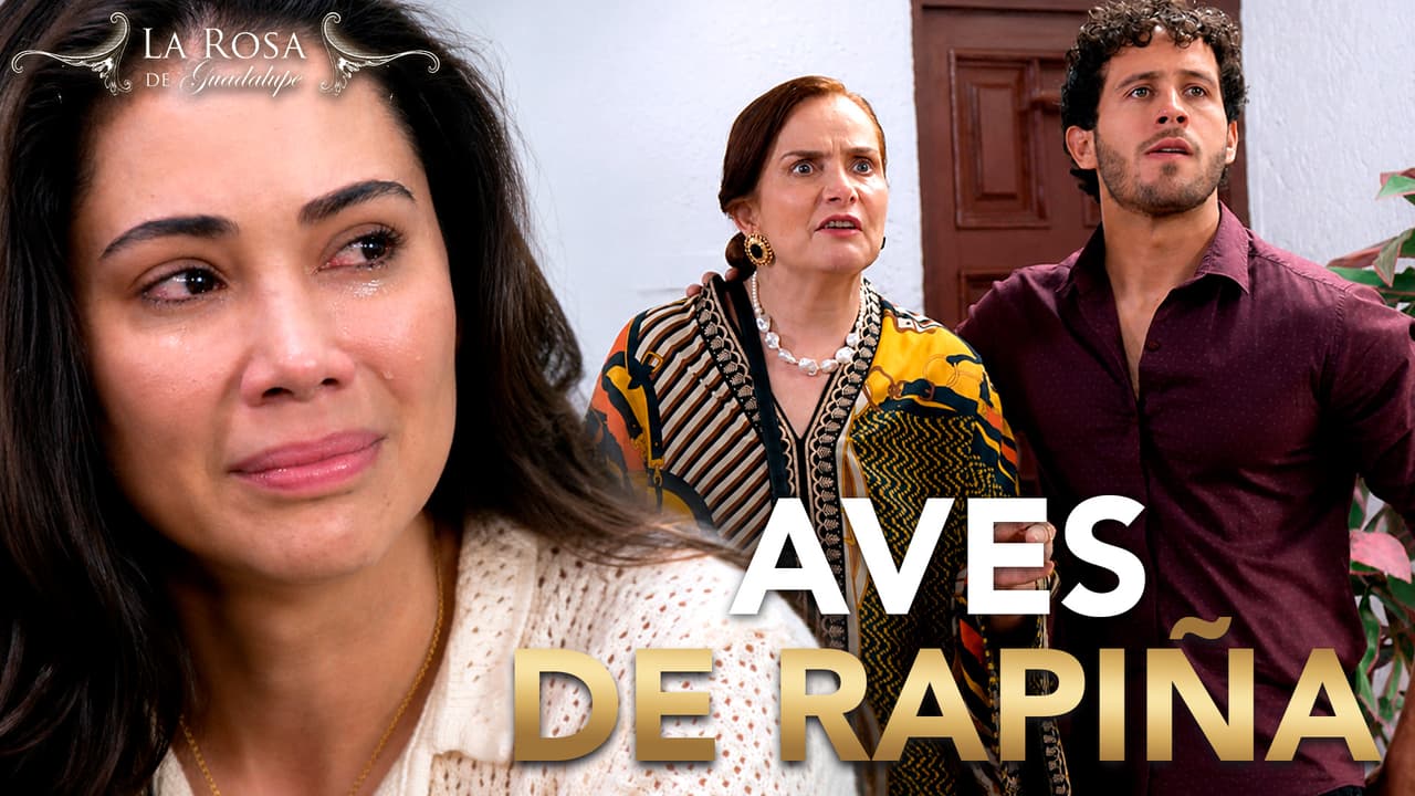 Cristina pude perder su casa porque su suegra inventa que le debe 1 millón de pesos