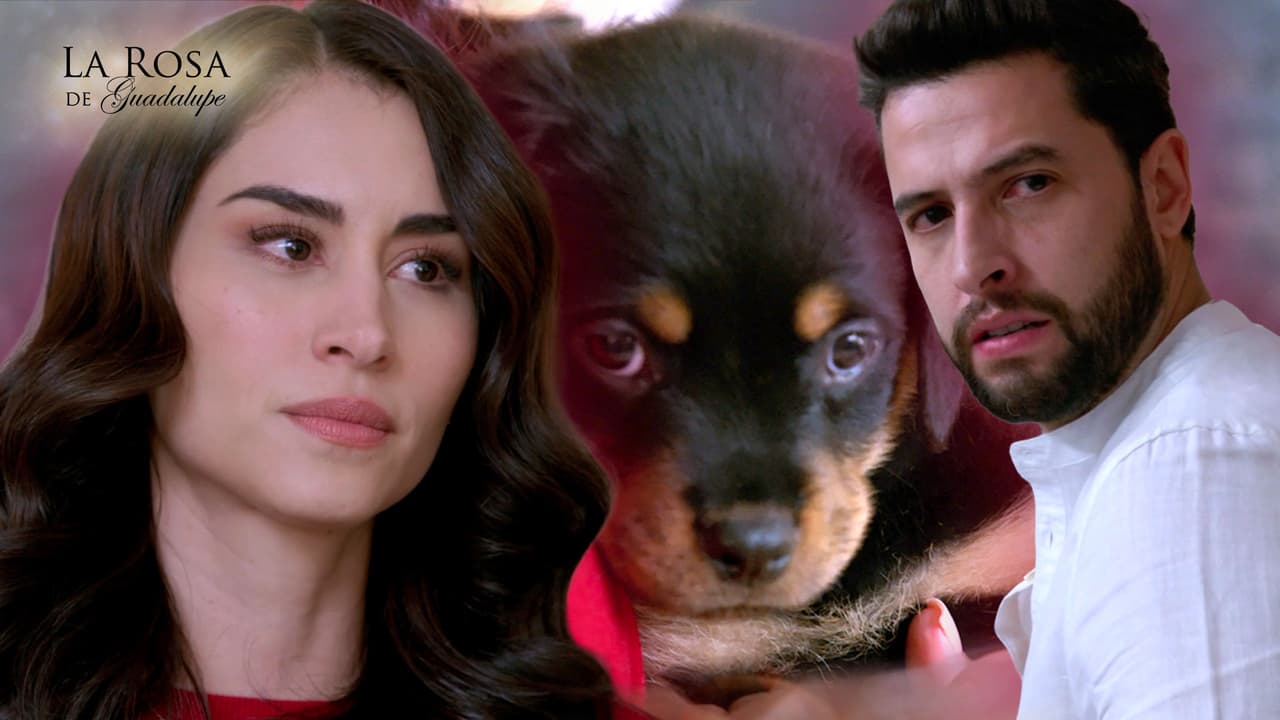 La Rosa de Guadalupe: Capítulo completo "Un sueño de dos"