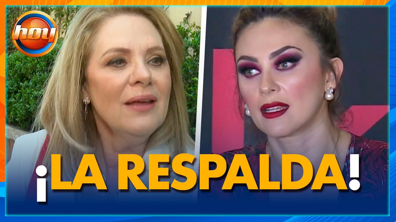 Erika Buenfil apoya a Aracely Arámbula en PROTEGER de la identidad de sus hijos