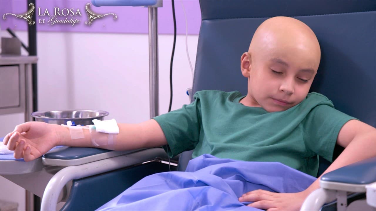 La Rosa de Guadalupe | LA ESTAFA | Resumen | Parte 2