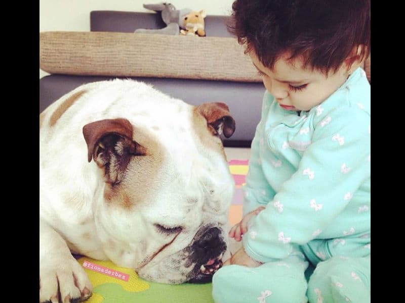 En las imágenes, el actor destacó que su cuarta hija y su perrita Fiona son inseparables desde el nacimiento de la pequeña, en agosto de 2014.