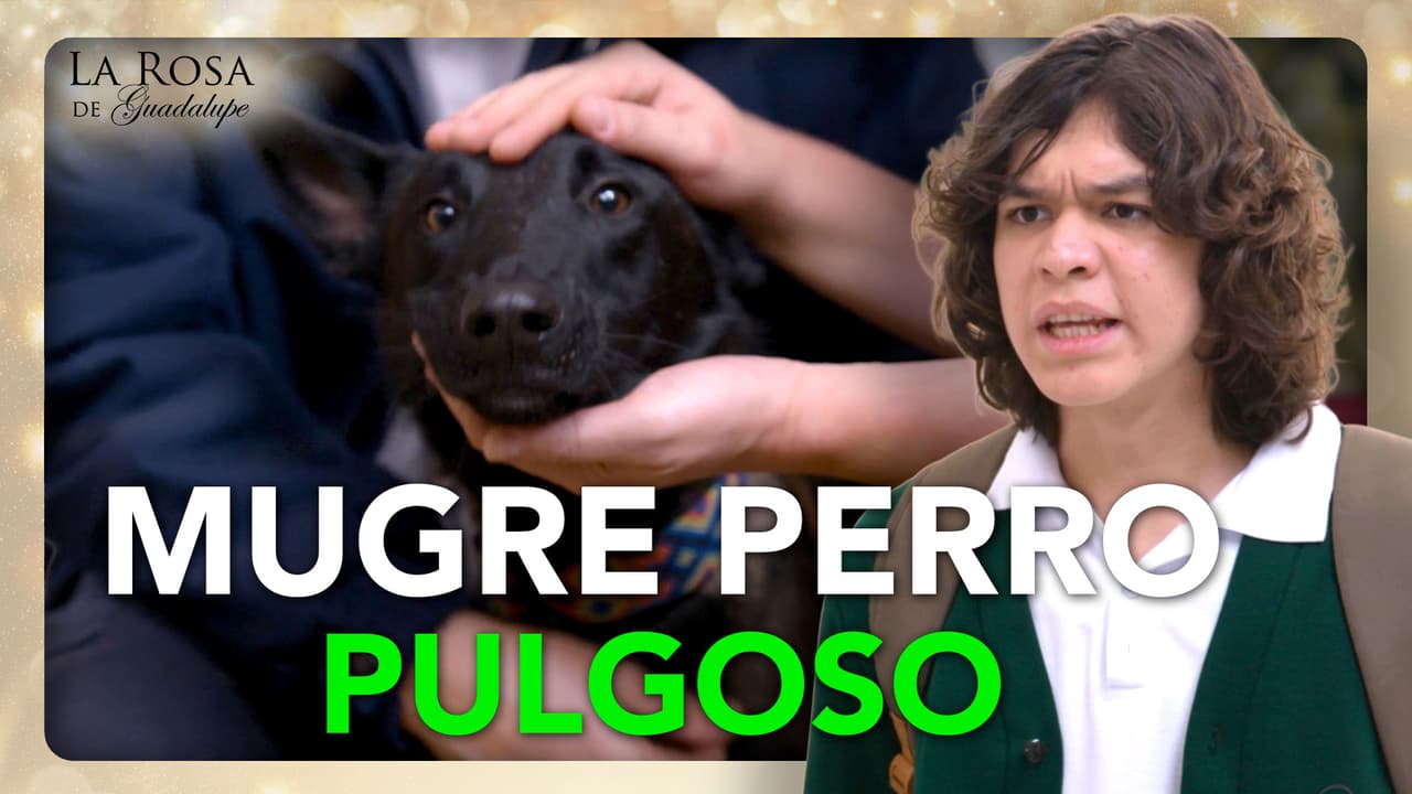 Tito no quiere a Rocky porque dice que es un perro “mugroso” y “pulgoso”