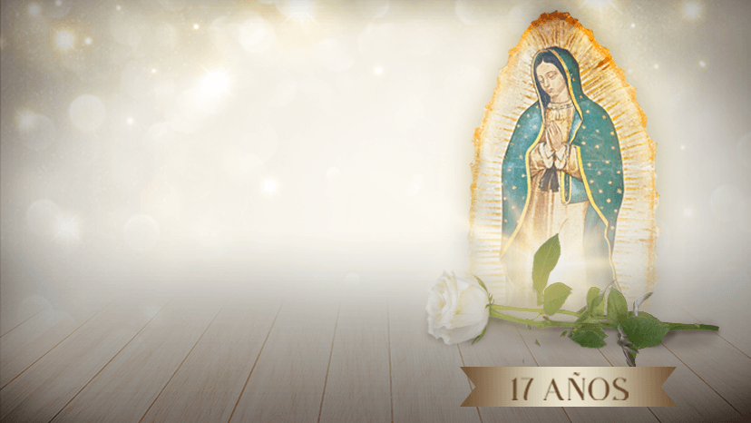 Encuesta la rosa de guadalupe